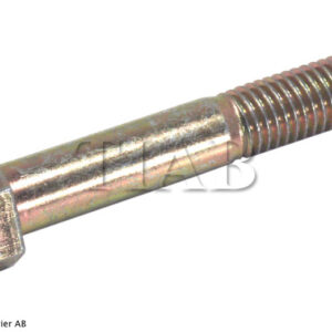 SKRUV M12 X 70