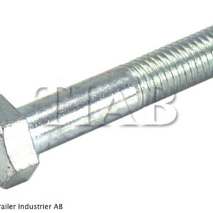 SKRUV M12 X 60