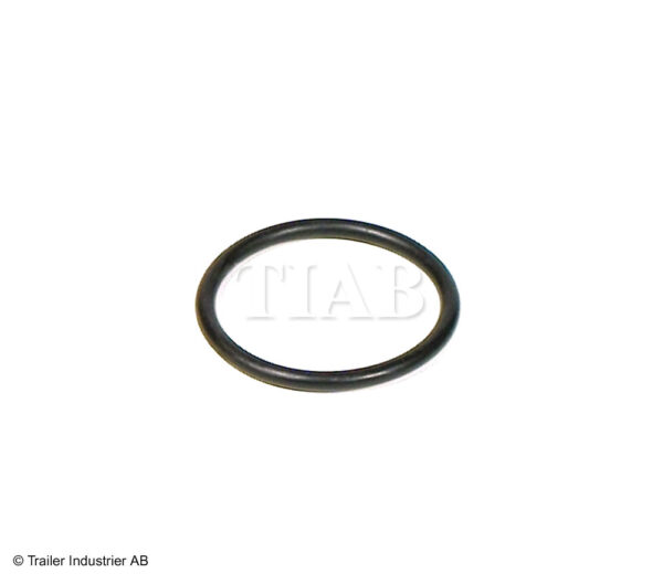O-RING