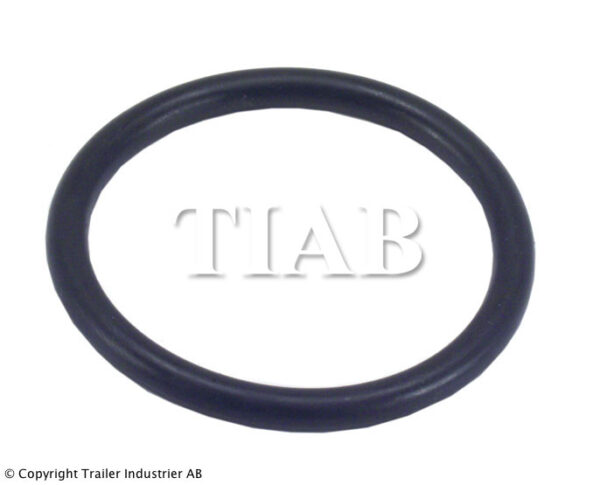 O-RING