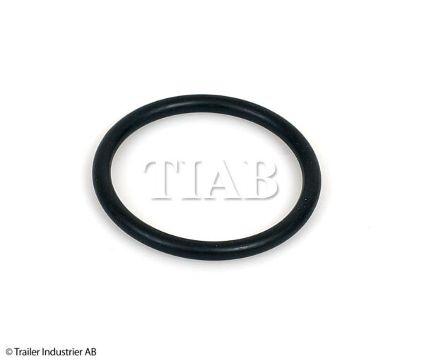 O-RING
